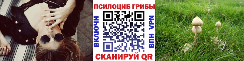 Псилоцибиновые грибы GOLDEN TEACHER  Спас-Клепики 